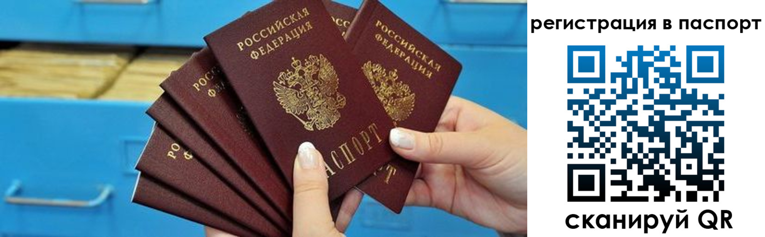 регистрация в Александрове